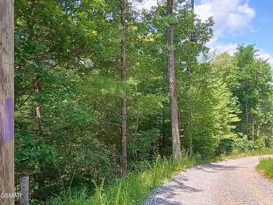 0 Rivendell Ln unit 307703, Coker Creek, TN 37385 - photo 5