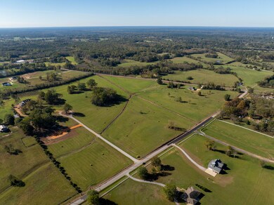 0 Chapel Hill Rd, Starkville, MS 39759 - photo 4