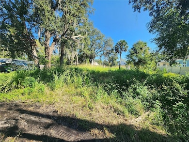 0 Roosevelt Ave, Sanford, FL 32771 - photo 3