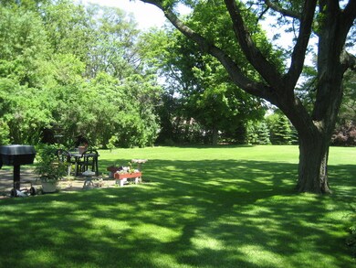 5S177 Webster St, Naperville, IL 60563 - photo 7