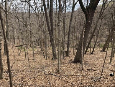 7 Mann Dr, Castleton On Hudson, NY 12033 - photo 6