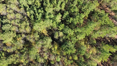 0 Turner Rd, Dadeville, AL 36853 - photo 6