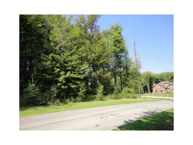 Other. View from Willow