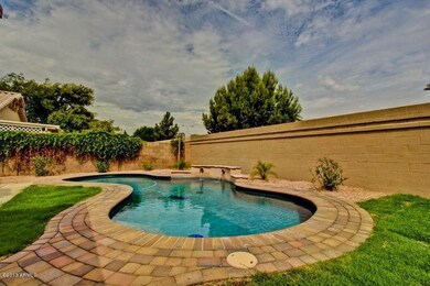 Brand New Pool