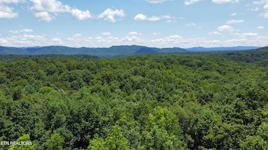 Photo Jul 10 2023, 2 19 38 PM