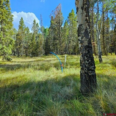 282 Aspen Trail, Cimarron, CO 81220 - photo 3