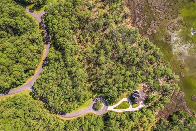 135 Blackbeard Ct, Townsend, GA 31331 - photo 4