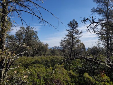 Foothills 3'