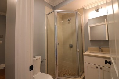 38 Hyde Park Ave unit 5, Boston, MA 02130 - photo 7