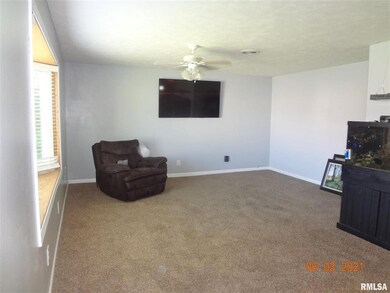 713 N Sherman St, Lincoln, IL 62656 - photo 3