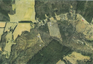 18.86 Ac Elkhorn Rd, Java, VA 24565 - photo 3