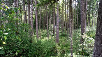 18435 Blue Hills Loop SE, Yelm, WA 98597 - photo 6