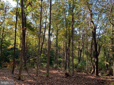 0 Fiery Run Rd unit VAFQ2005770, Linden, VA 22642 - photo 2