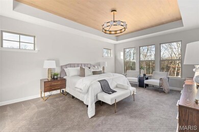 0 Unknown unit MIS22063488, Foristell, MO 63348 - photo 6