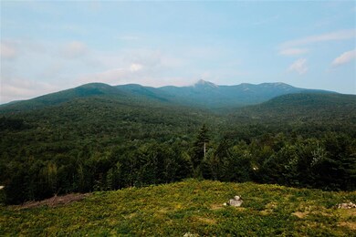 Lot #10 Chocorua View Estates, Albany, NH 03818 - photo 4