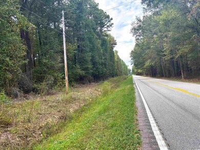 0 Marlboro Way, Bennettsville, SC 29512 - photo 5