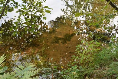 6903 Flowage Dr, Danbury, WI 54830 - photo 7