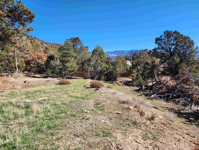 242 Fir Ave, Crawford, CO 81415 - photo 5