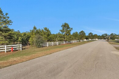 18482 Gary Player Dr, Montgomery, TX 77316 - photo 3
