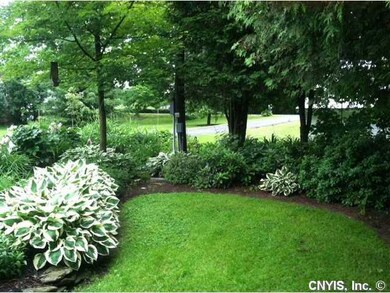 Yard/Garden