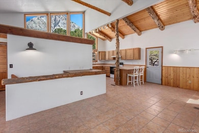 16715 Shadow Ln, Nathrop, CO 81236 - photo 5