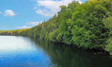 1003 Devils Hill Rd, Peacham, VT 05862 - photo 6