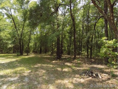 4318 284th Terrace, Branford, FL 32008 - photo 2