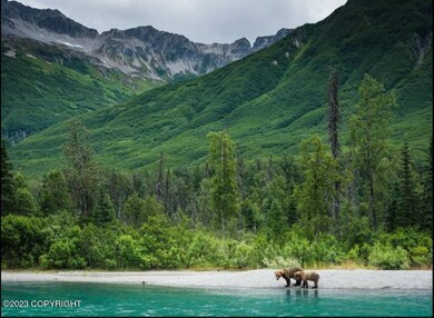 3 Bears