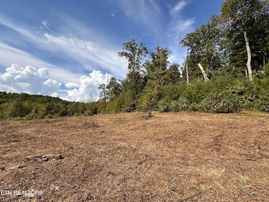 0 13 44 Ac Chestnut Ridge Rd, Allardt, TN 38504 - photo 7