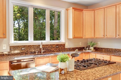 42835 Bluestone Ct, Broadlands, VA 20148 - photo 7