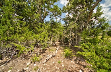 Lot 16 Paloma Ranch Rd unit 16, Mountain Home, TX 78058 - photo 6