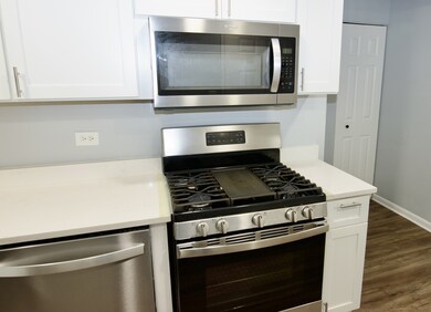 10347 Dearlove Rd unit 301, Glenview, IL 60025 - photo 7