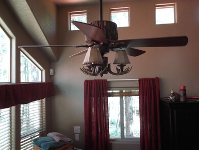Designer Lighting