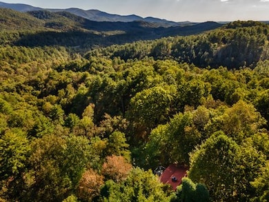 541 Mountain View Cir, Cherry Log, GA 30522 - photo 3