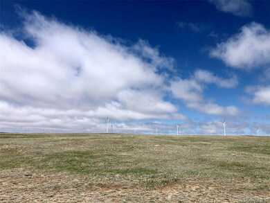 00010 Calhan Hwy, Calhan, CO 80808 - photo 2