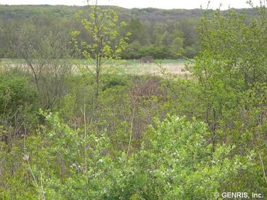 Land/Lot. This photo was taken as you would walk d