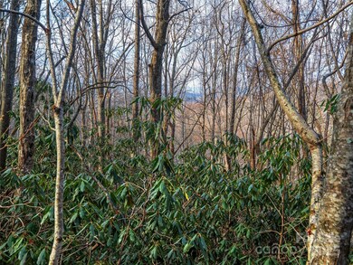 000 Indian Cave Park Rd, Hendersonville, NC 28739 - photo 4