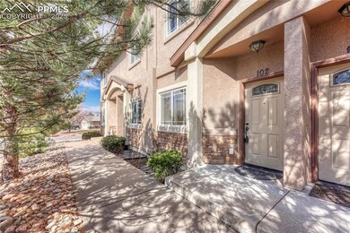 Doorway to property featuring stucco siding