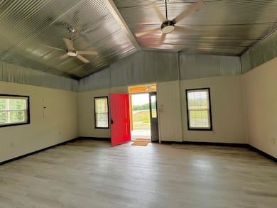 Completely remodeled throughout!  Don't you just love the tin on the vaulted living room ceiling?   So cute!!