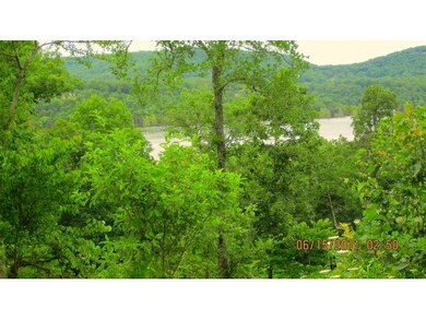 0 Green Cottage Dr, Williams Township, MO 65747 - photo 2