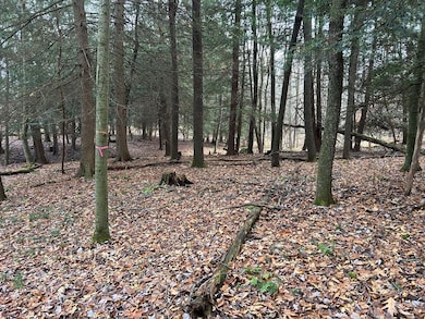 0 Miola Rd, Clarion, PA 16214 - photo 3