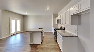 Kitchen with stainless steel appliances, a sink, dark stone countertops, a center island with sink, and decorative backsplash