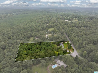 239 Meadowood Ln, Montevallo, AL 35115 - photo 6