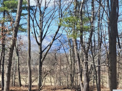 66 Cone Place, Leeds, NY 12451 - photo 3