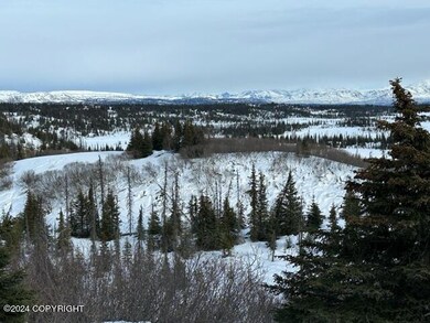 View from the Deck