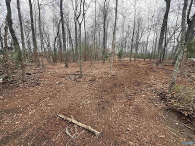 2.65 Acres Lester Dr, Boaz, AL 35957 - photo 4