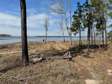 064 Private Road 6026 Tract 1-64, Brookeland, TX 75931 - photo 5