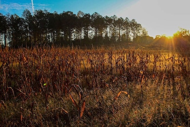 845 Turner Rd, Fayette, AL 35555 - photo 7