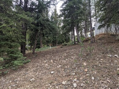 Lot has several sloped and level areas