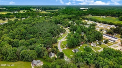 22-S Coral Bells Wy-22